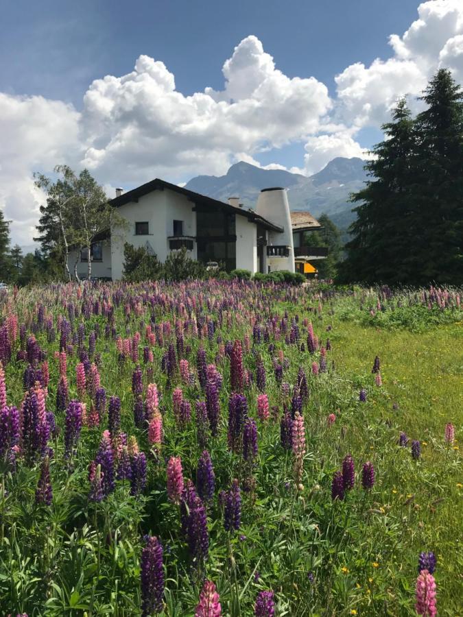 Chesa Suot Ovas Apartamento Sils Maria Exterior foto
