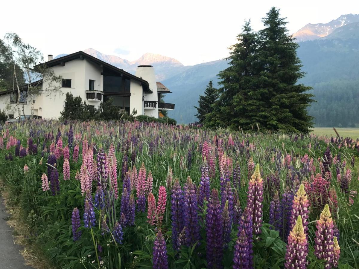 Chesa Suot Ovas Apartamento Sils Maria Exterior foto